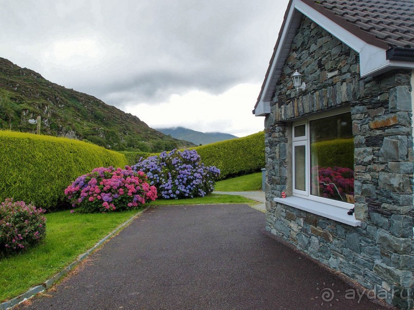 Овечий бизнес