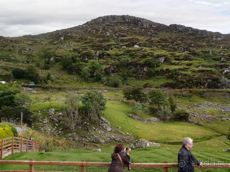 Овечий бизнес