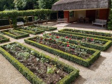 На деревню к богатому дедушке