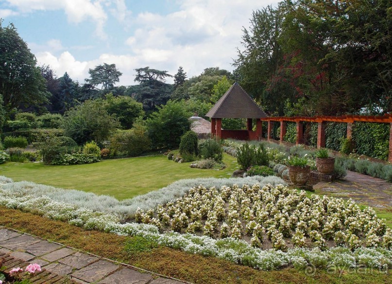 На деревню к богатому дедушке