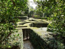 На деревню к богатому дедушке