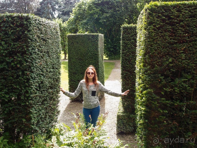 На деревню к богатому дедушке