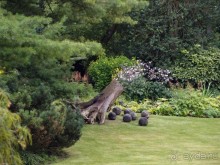 На деревню к богатому дедушке