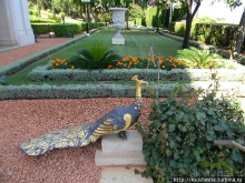 Бахайские сады — визитная карточка Хайфы