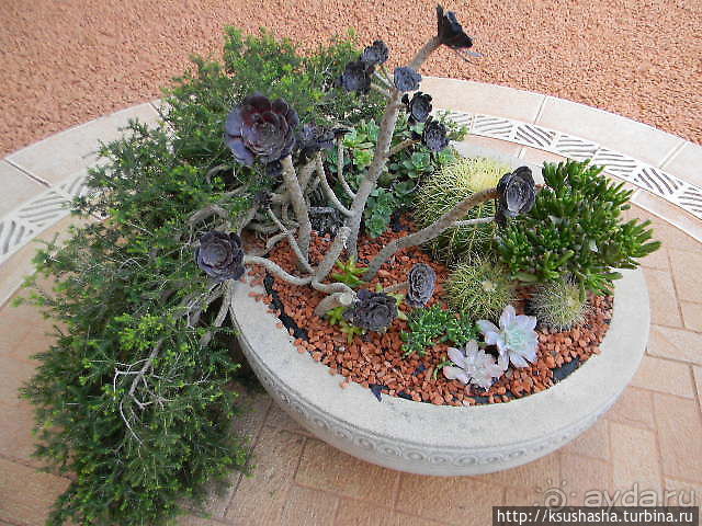 Бахайские сады — визитная карточка Хайфы