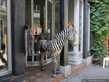 Собор, базар, вокзал. Лимбург-на-Лане(ч.2)