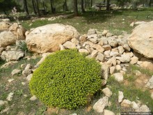 Самая загадочная крепость