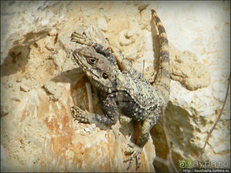 Самая загадочная крепость