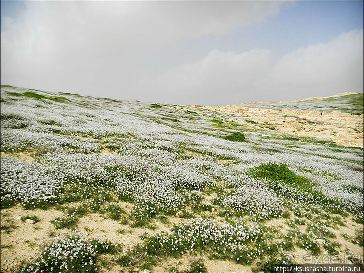 Самая загадочная крепость