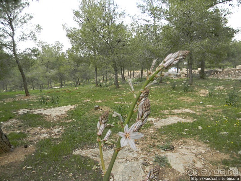 Самая загадочная крепость