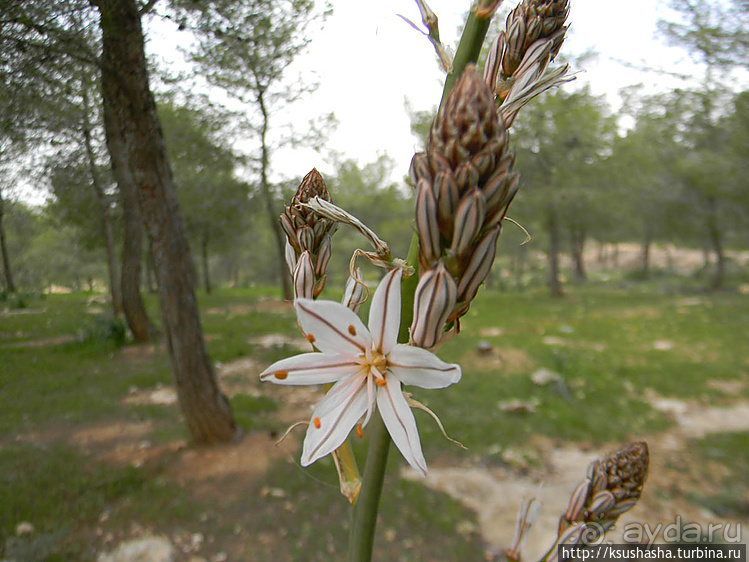 Самая загадочная крепость