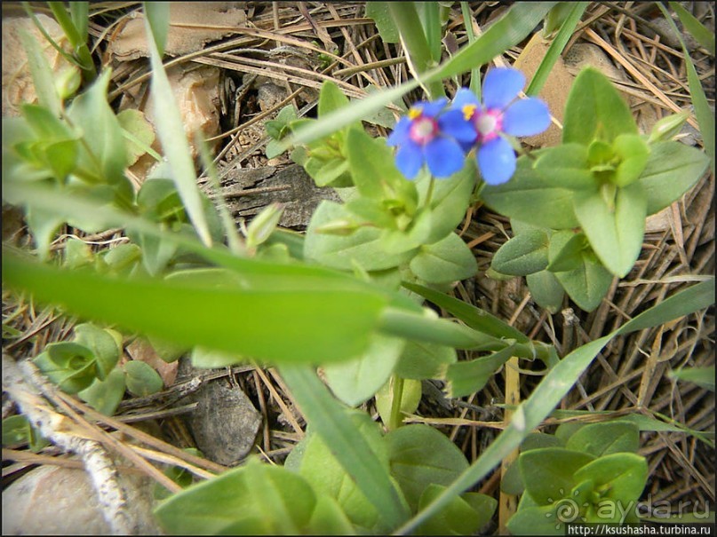 Самая загадочная крепость