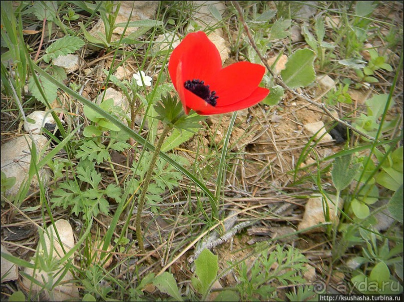 Самая загадочная крепость