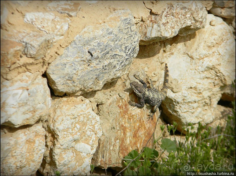 Самая загадочная крепость