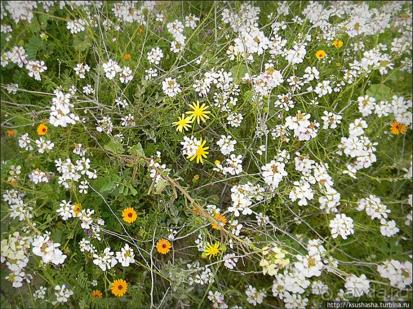 Самая загадочная крепость