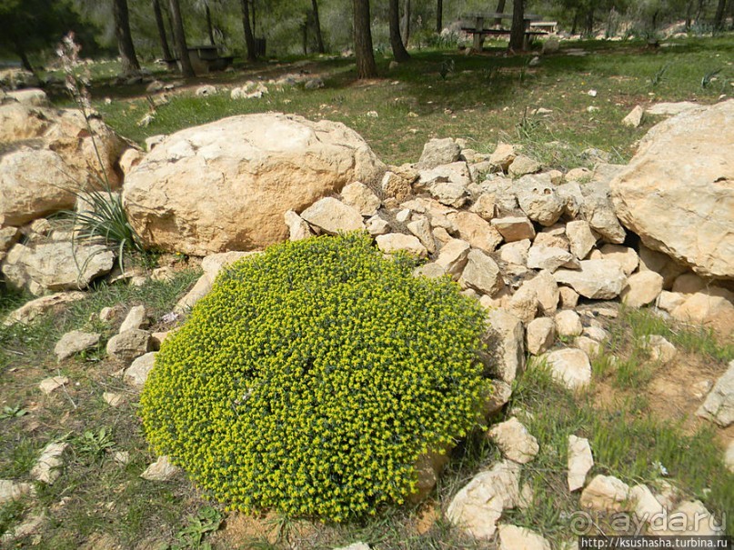 Самая загадочная крепость