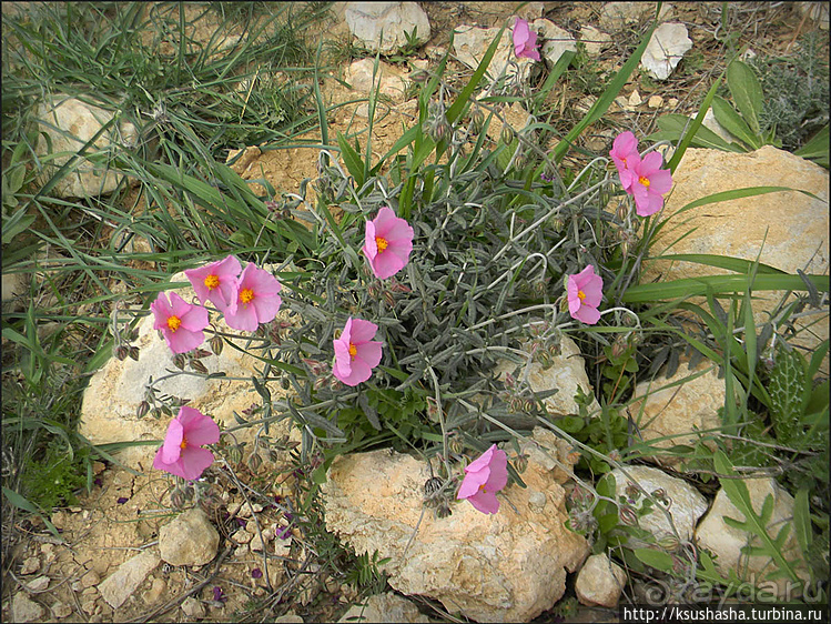 Самая загадочная крепость