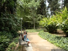 Сад, отвоёванный у моря