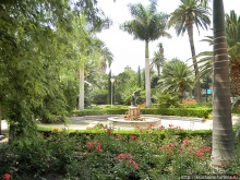 Сад, отвоёванный у моря