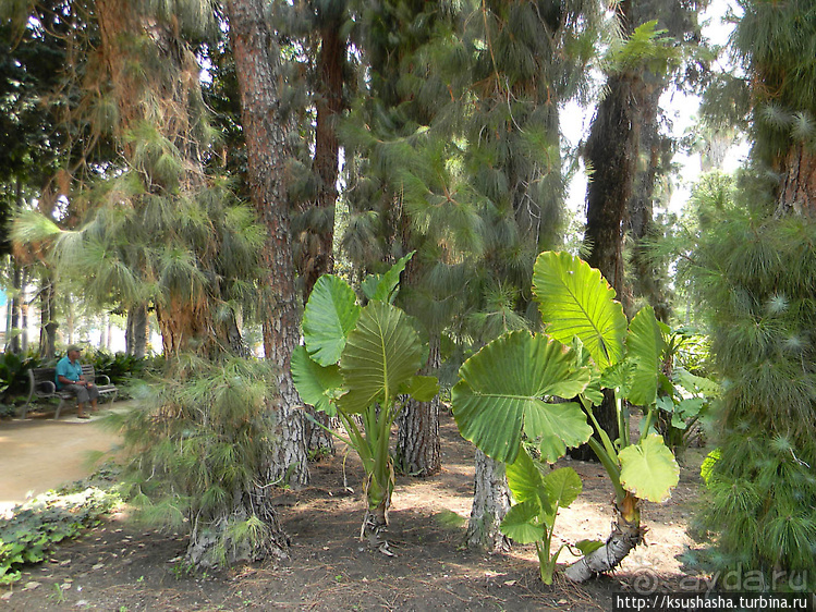 Сад, отвоёванный у моря