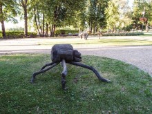 Вечерний Цесис