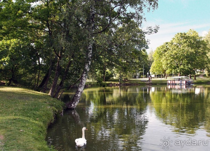 Вечерний Цесис