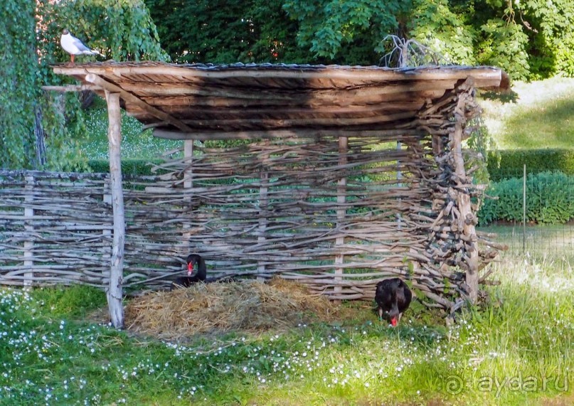 Вечерний Цесис