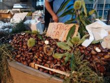 Хлеб, любовь и тарантелла