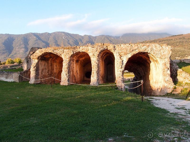 Хлеб, любовь и тарантелла