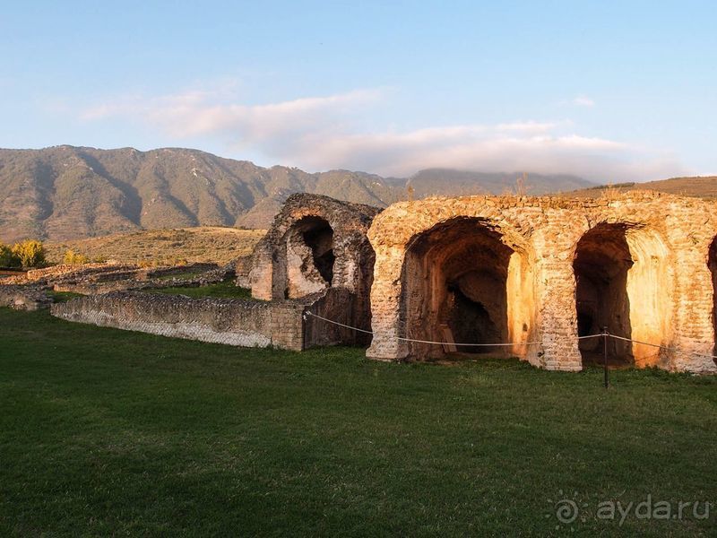 Хлеб, любовь и тарантелла