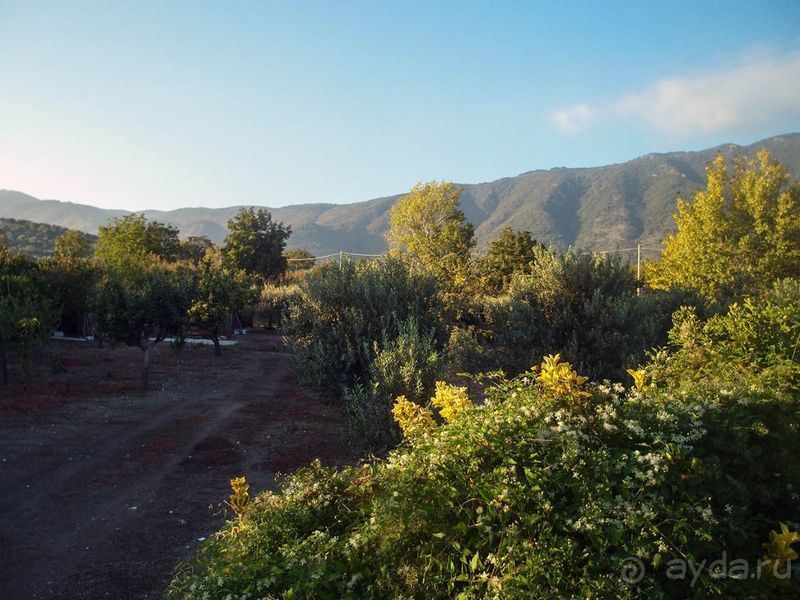 Хлеб, любовь и тарантелла