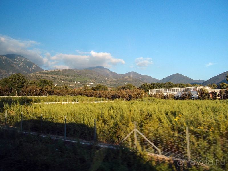 Хлеб, любовь и тарантелла Хлеб, любовь и тарантелла