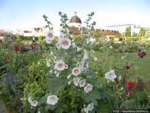 Бельведер и его чудесный сад