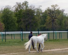 фото Шантильи