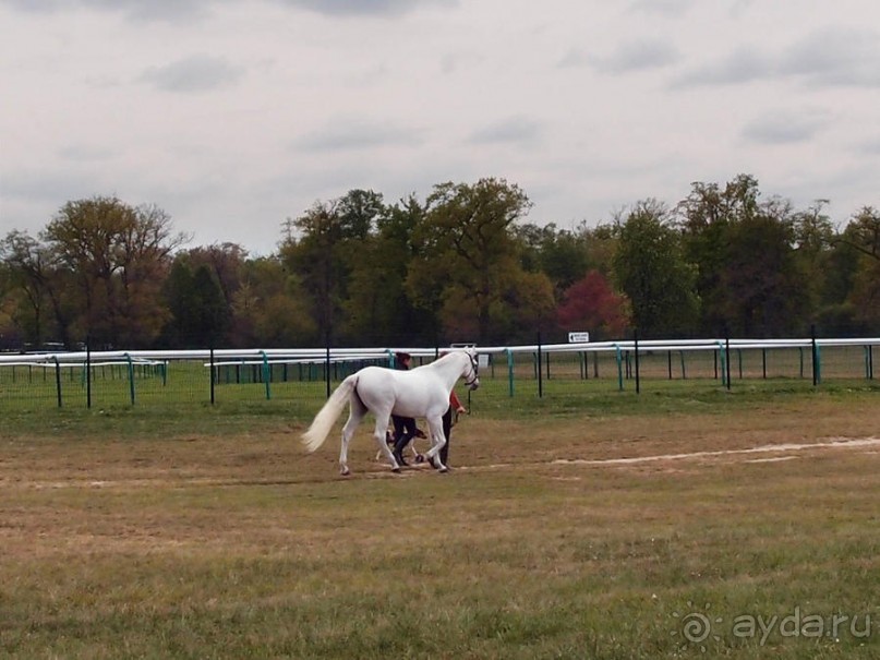 Изящное наследие французских принцев