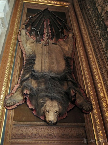 Изящное наследие французских принцев