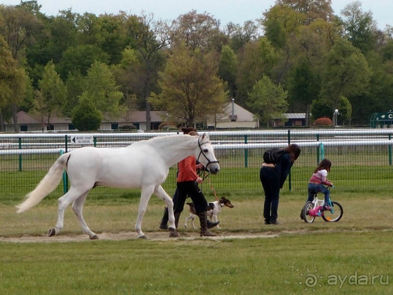 Изящное наследие французских принцев