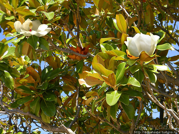 Ошеломительный, гигантский и роскошный Эскориал