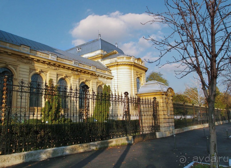 Город радости. Было бы желание