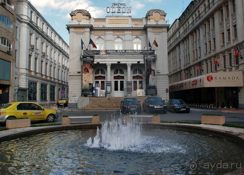 Город радости. Было бы желание