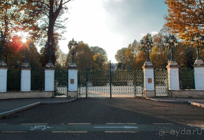 Город радости. Было бы желание