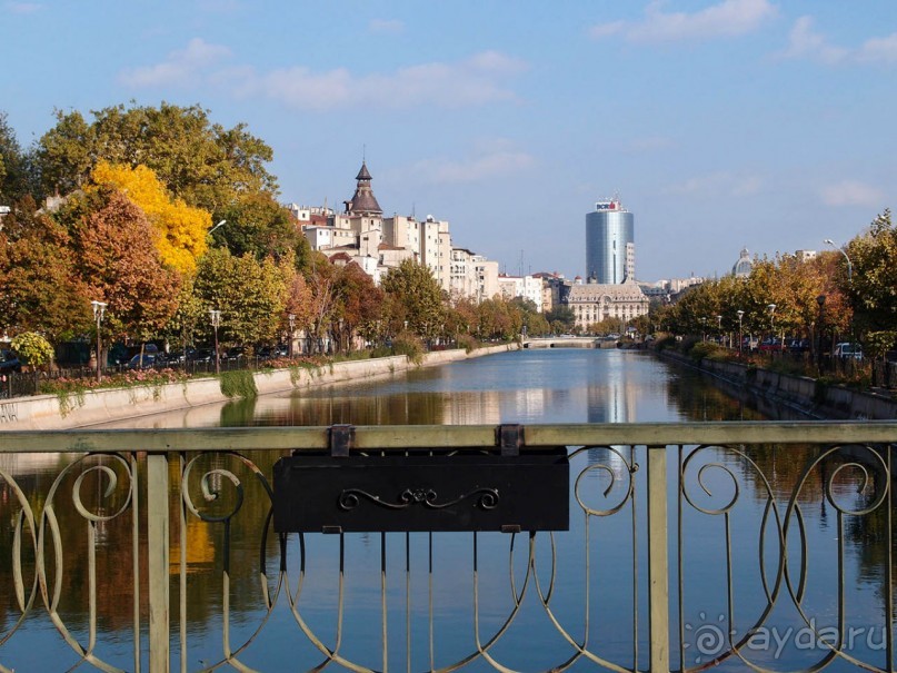 Город радости. Было бы желание