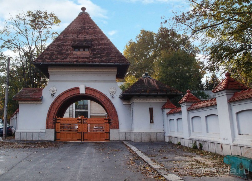 Город радости. Было бы желание