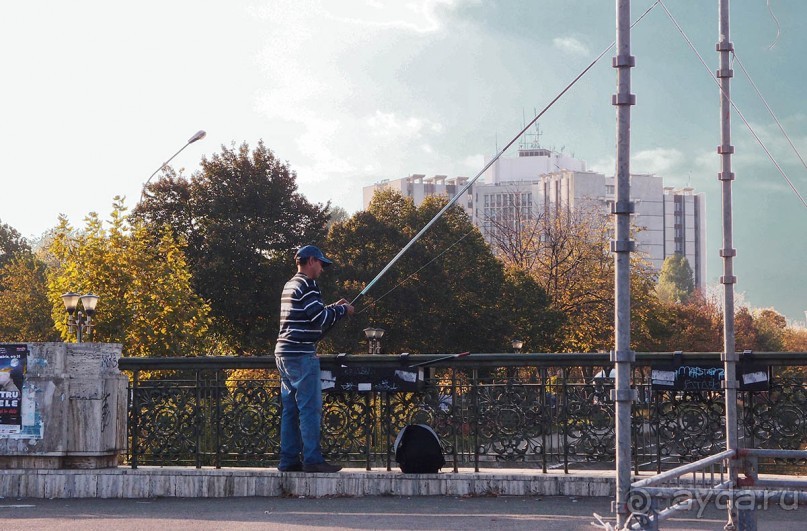 Город радости. Было бы желание