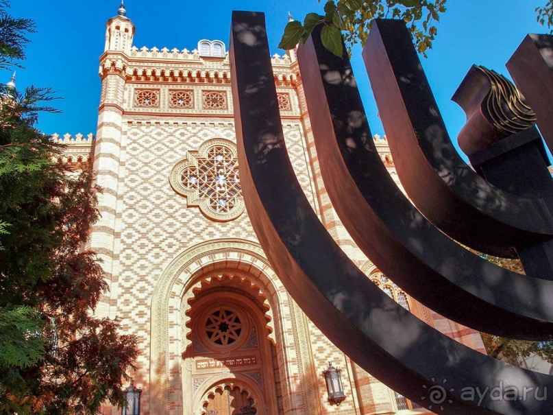 Город радости. Было бы желание