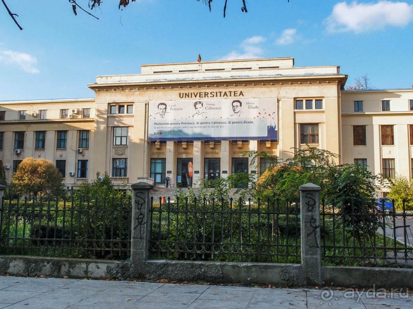 Город радости. Было бы желание