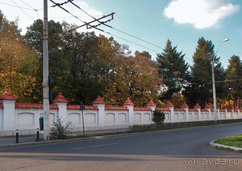 Город радости. Было бы желание