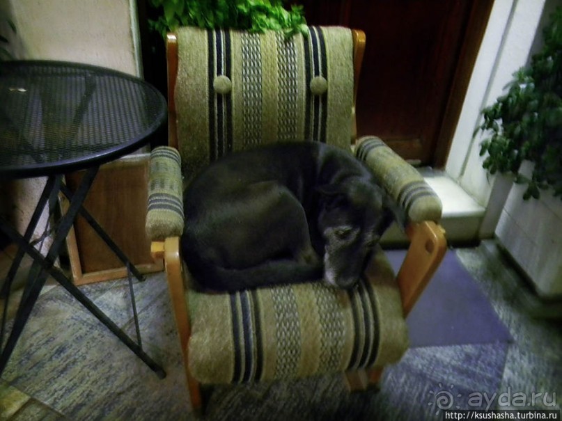 Афинские прогулки (ч.3) В неярком свете ночи