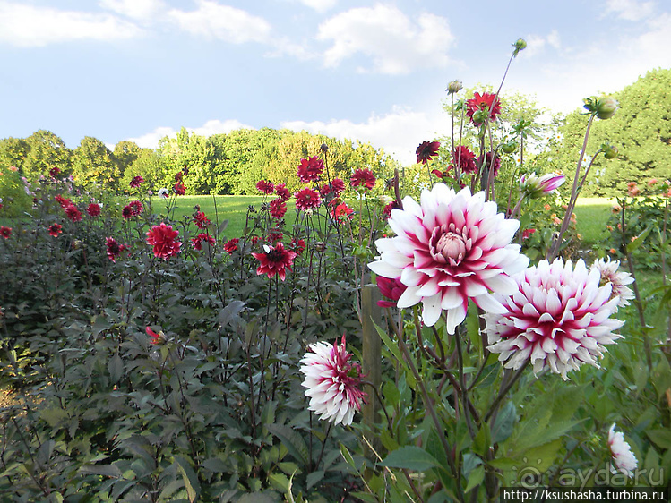 Курпарк Оберлаа — выставка парков и садов