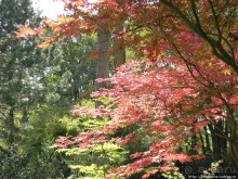 Альбом отзыва "Курпарк Оберлаа — выставка парков и садов"